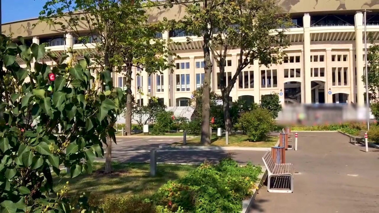 Extremalchiki: Luzniki-stadion