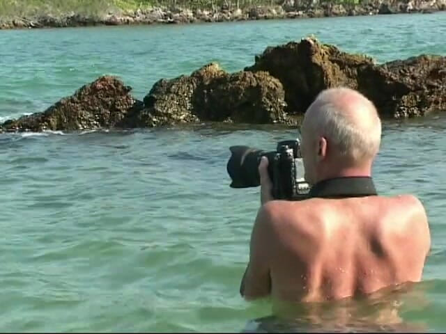 Asian Cuntz: Compilație cu bunăciuni asiatice care pozează 14