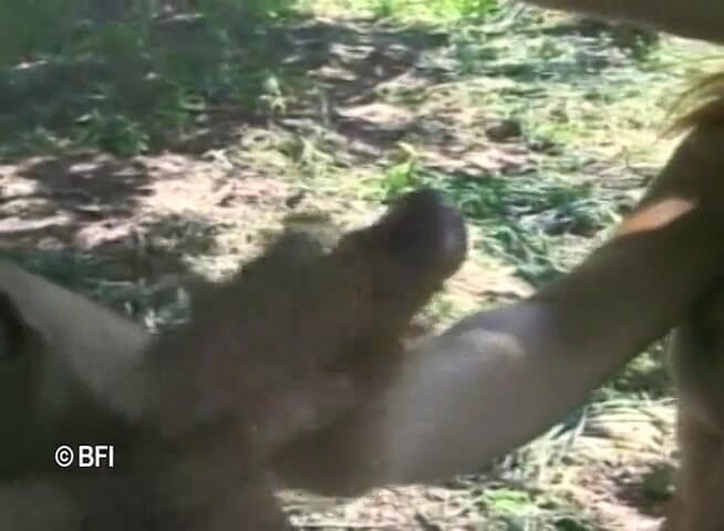 Ladyboy Paradise: Brasil trans pasión 9