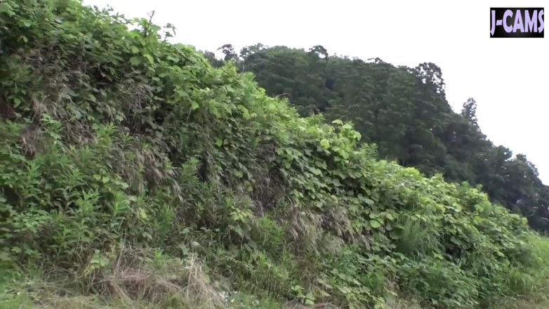 J-Cams: Doppia tentatrice. L'audace rimorchiata per strada e la provocante hunt...