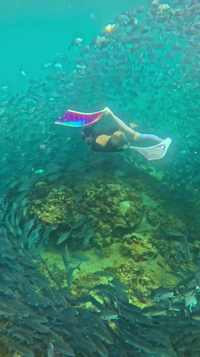 creamberryfairy: Im Your Little Mermaid