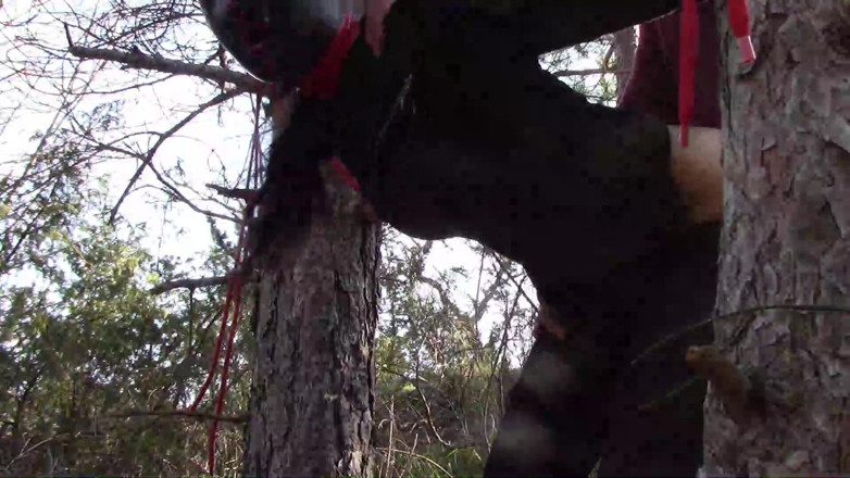 LauraOnHeels: Outdoor-sex im wald. Sexy kleidung und high heels zu tragen,...