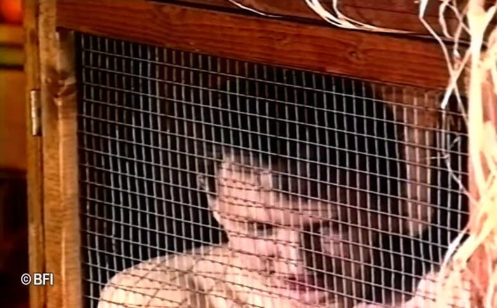 Horny Teenies: Teensex-power teil 8
