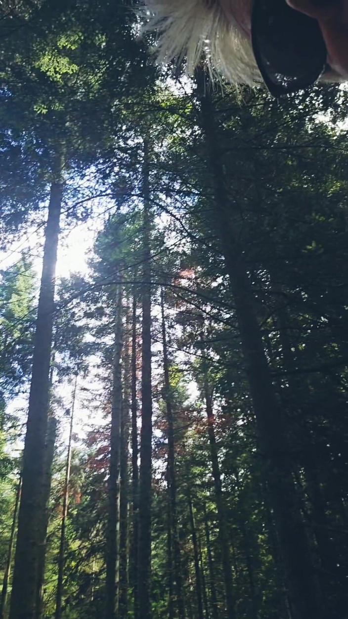 Sofy13: Čtvrtý den dovolené Chodím lesem Hledat cizince