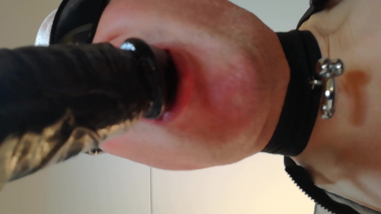 Big balls boy: Einen dildo aus nächster nähe lutschen