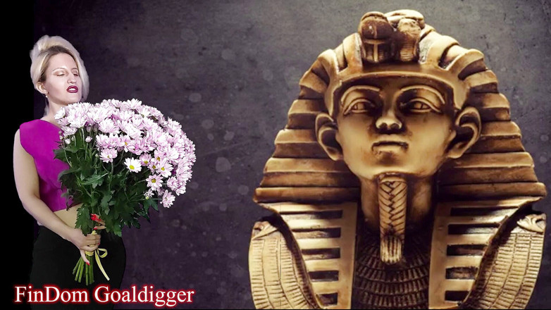 FinDom Goaldigger: Разрешение VIP Loserpaypig
