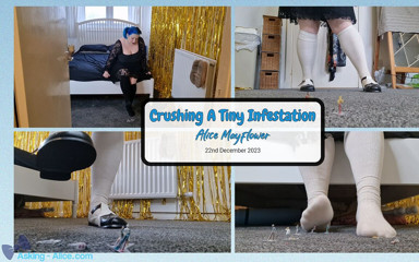 Alice_Mayflower_Scottish: J'écrase une petite infestation - fille solo