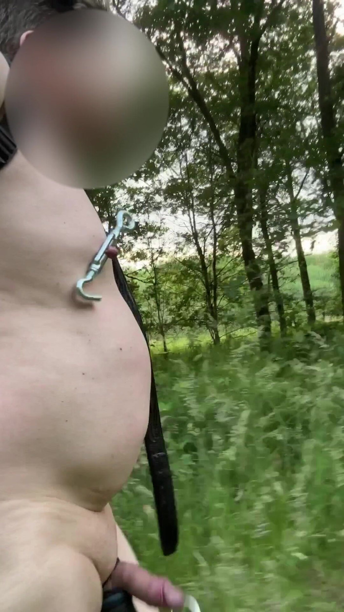 No limit cbt slave: Прогулянка голою в парку.. З затискачами сосків і м'ячем