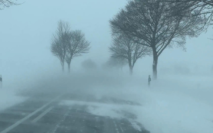 Qualzucht: Mega Schneesturm, Dann Platzt Fast Mein Sack!