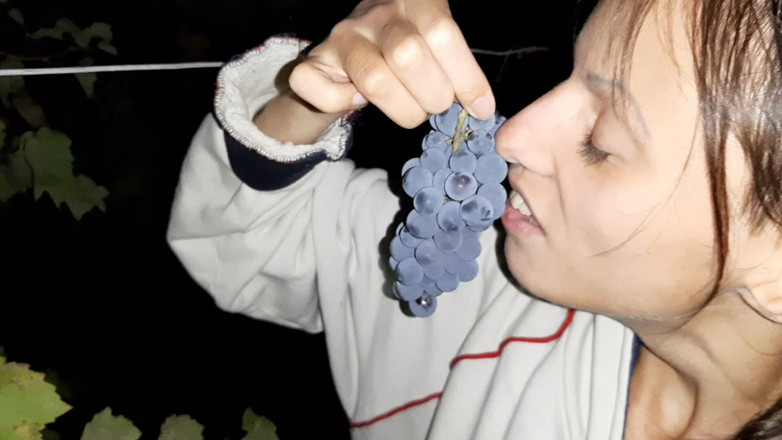 Lesbian-illusion: Mon voisin m’a remercié pour les raisins avec cunnilingus
