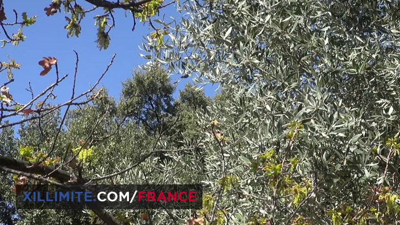 Made In France: Przerwa seksualna na wsi