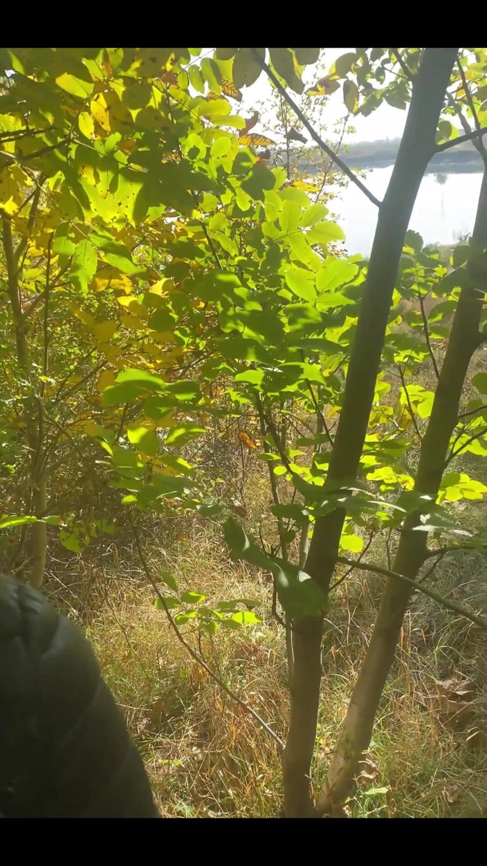 MilfyCalla: Milfycalla Kompilacja zabawy na świeżym powietrzu, Sex in Nature Is Great...