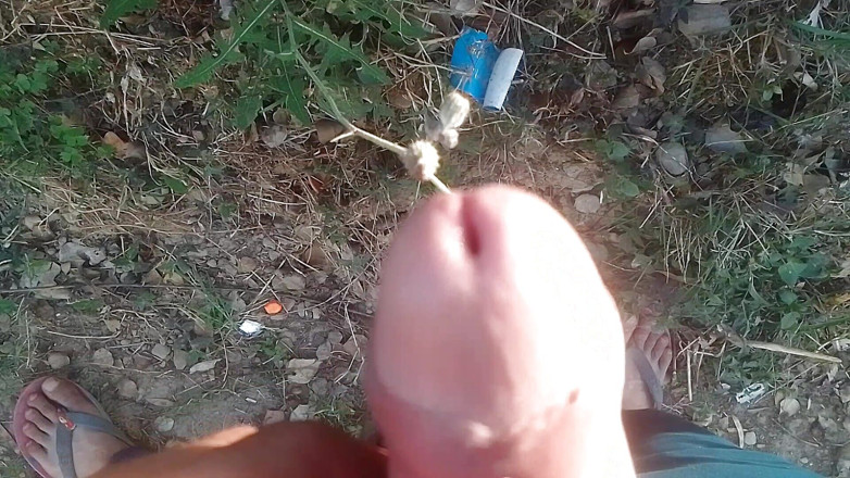 Thakursammy: Cống hiến nước tiểu