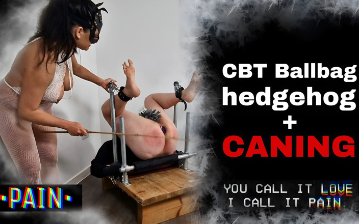 Training Zero: CBT hedgehog rotan femdom pukulan