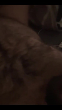 Hairy