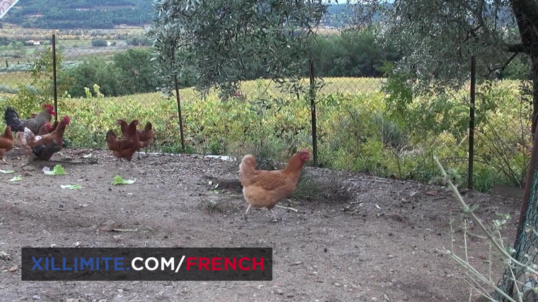 French girls at work: Trío con 2 mujeres maduras tetonas