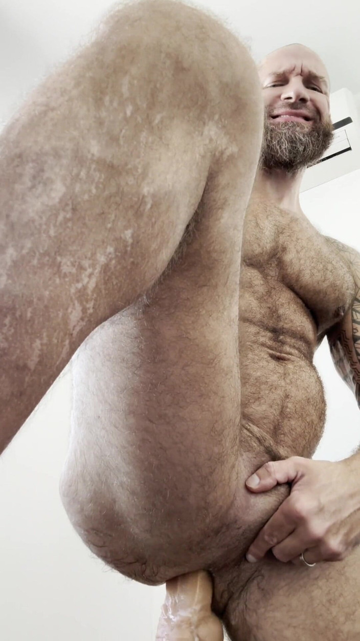 SergeBear_: Grande urso e pau grande solo