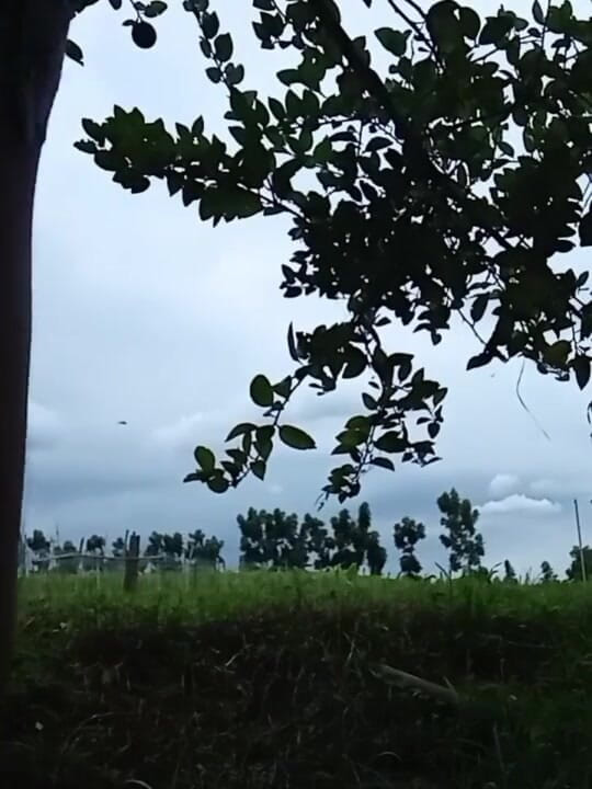 Troye_AsianPinoy: Mabilisang jakol sa bukid - Filipinli açık havada mastürbasyon