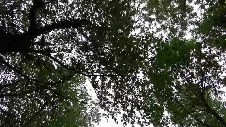Deutschland porn: Перелюбник