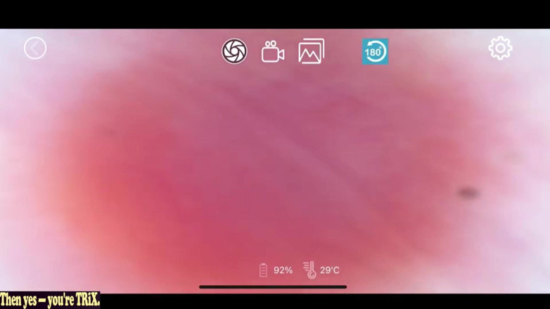 A case of fling: 亚洲天使 26559