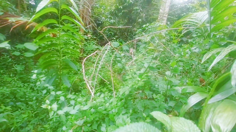 Tharumini_Official: Une villageoise desi taille une pipe dans la jungle