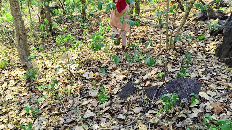Ankush raj: Ritika aveva fatto una passeggiata nella foresta per battere il...