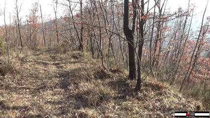Peccatrici Produzioni: 45'in üzerindeki olgun bir İtalyan kaltak için anal macera