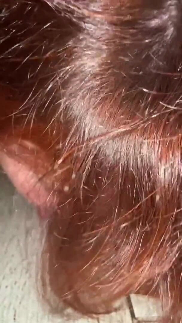 Elena917: Slickar hotelltoaletter, knullar med toalettborste och sperma från anal med...
