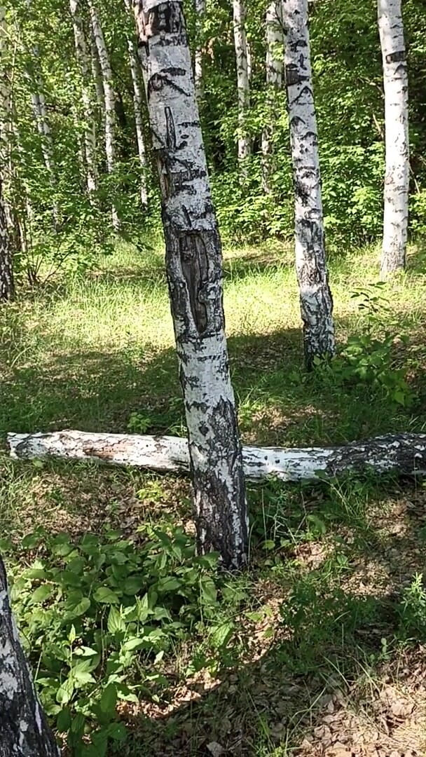 BW_Dolphin: Мастурбація на дереві за допомогою сухої пизди. Волохата пизда в лісі