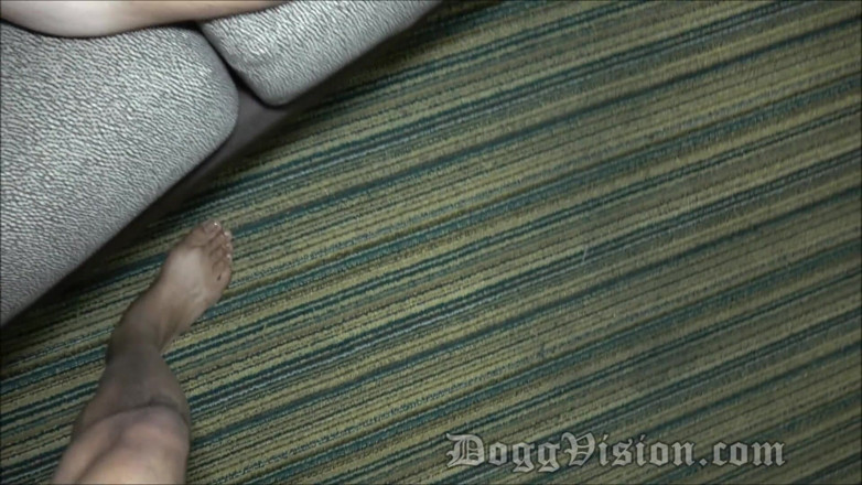 DoggVision: Зрадлива дружина трахає фотографа без презерватива