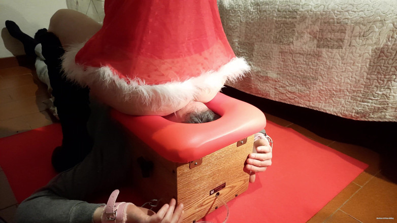 goddess82: Sentada en la cara y feliz navidad! 