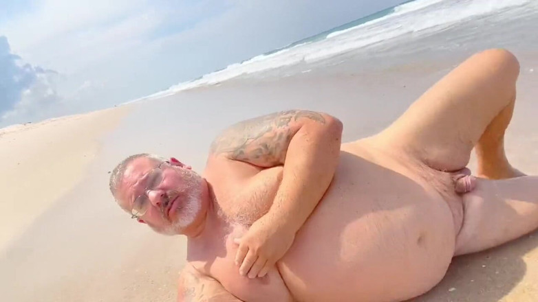 Hand-Free-Daddy-Chub: 해변 곰 트랜스 판타지