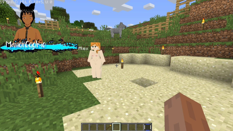 Manor Cookie: Minecraft jenny mod fapcraft its Alex, la matrigna muscolare e...