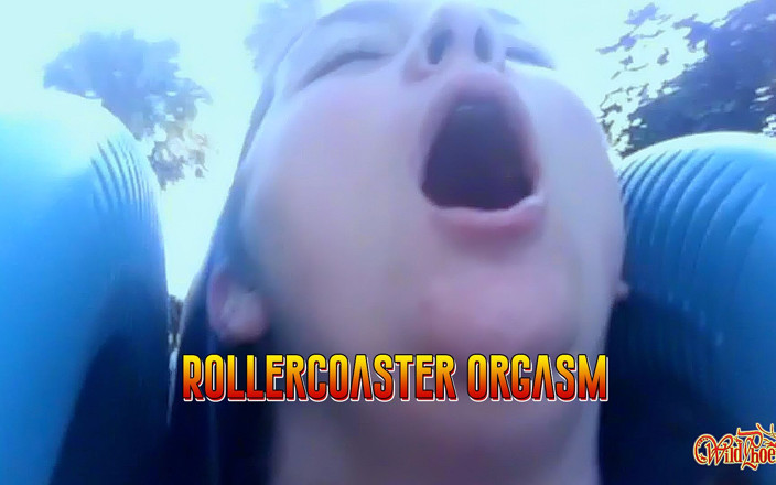 Wild Phoenix: Rollercoaster Orgasmus: Secret Vibe Ride v tématický park