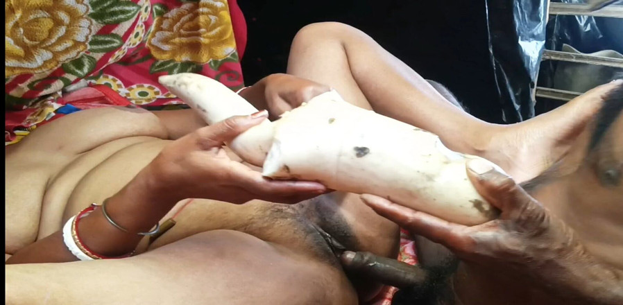 my house: Analsex penis rädisa fitta penetration nomita Bhabhi