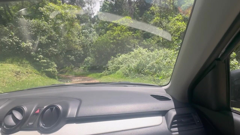 scarlettandc: Lesbiennes s’amusant en plein air