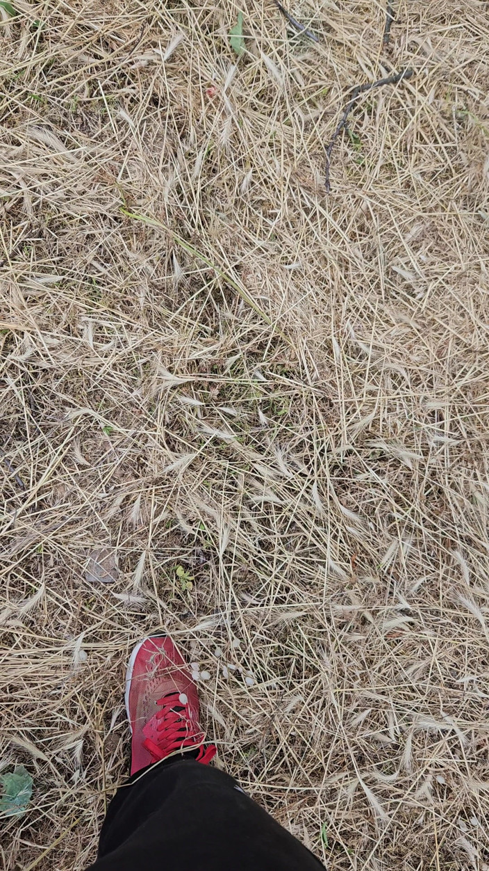 CockyBoy7: Sperma i åkrarna