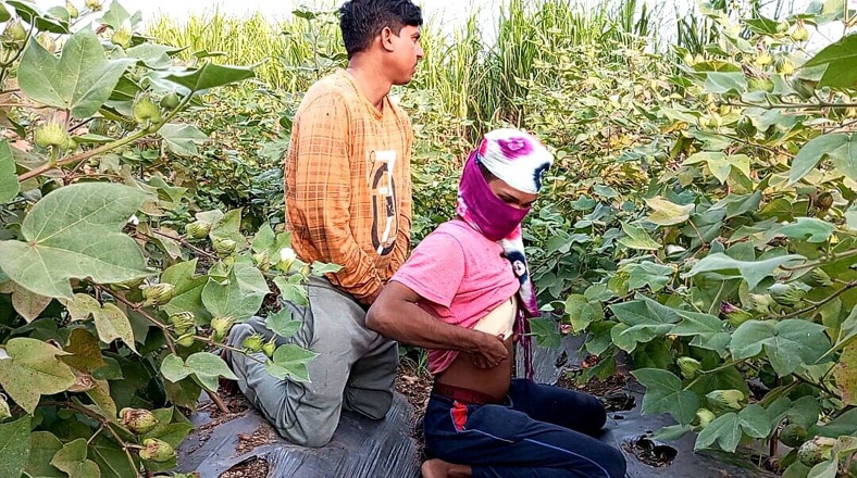 Indian Hijraji: Indische shemale-films - Pooja shemale Bhabhi Cotton Farming komt en grote...