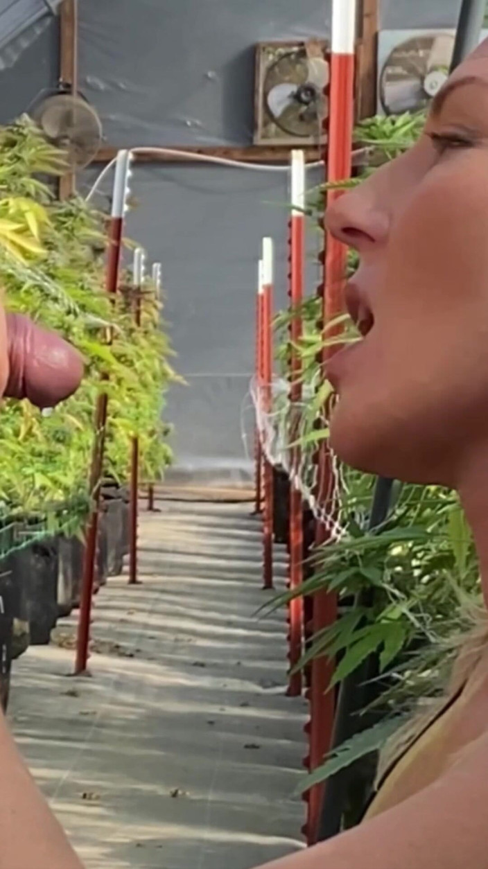 Farmers Wifey: Puteri penyayang kencing queen, kompilasi kencing