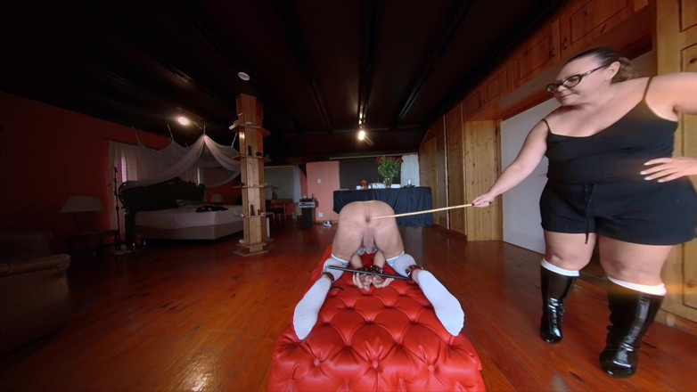 Mistress April: Dominatrix April - O processo diário de chicotadas