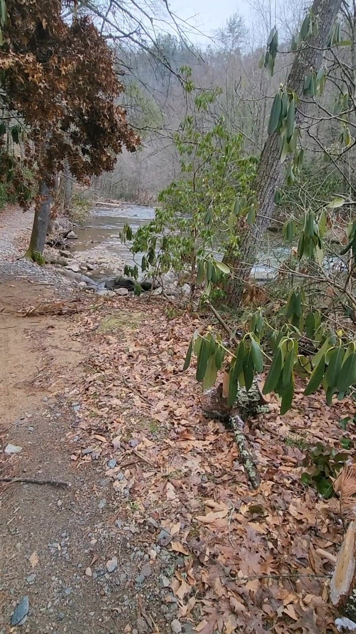 Djk31314: Caminata de frío y semen.