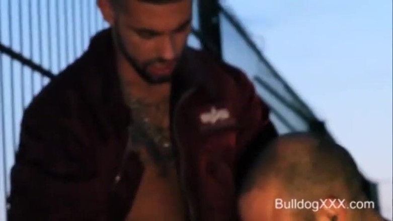 BullDogXXX: BullDogXXX - Des Espagnols excités aux cheveux noirs