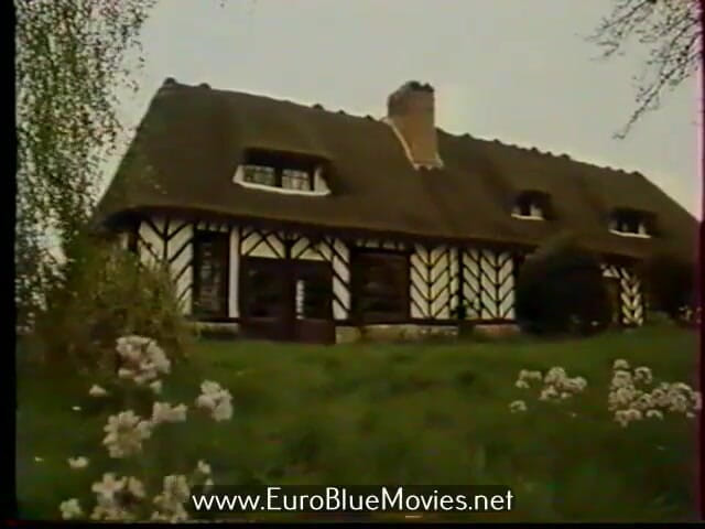 Euro Blue Movies: Hysterical Pleasures (1986)
