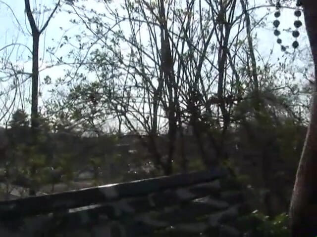 Out Sexxx: Si jalang taman! - La Porcona Del Parco DVD