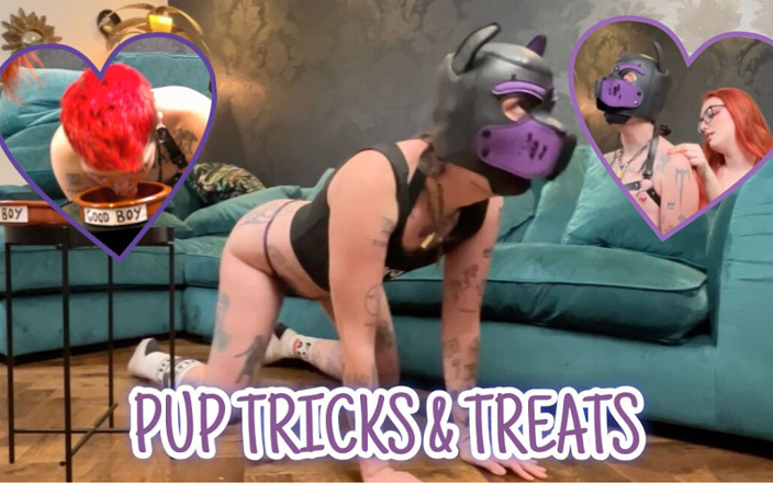 Punk Goblin: Pup Boy pup tricks &amp; tratează