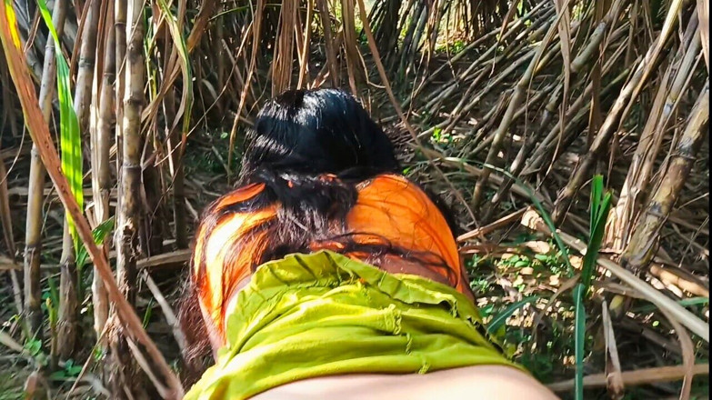 Desistepsis: Seksi anne ki chudai sugarcane field Hintli seks videosu