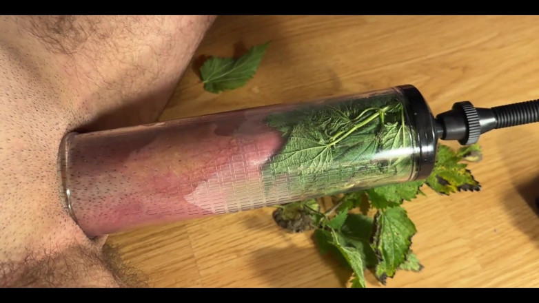 cbtLove: CBT Sting Nettles Memancut Mani