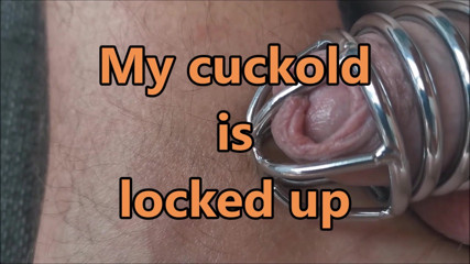 Cuckoby: 不貞の妻を持った夫の夫はロックアップされ、妻は雄牛とファック