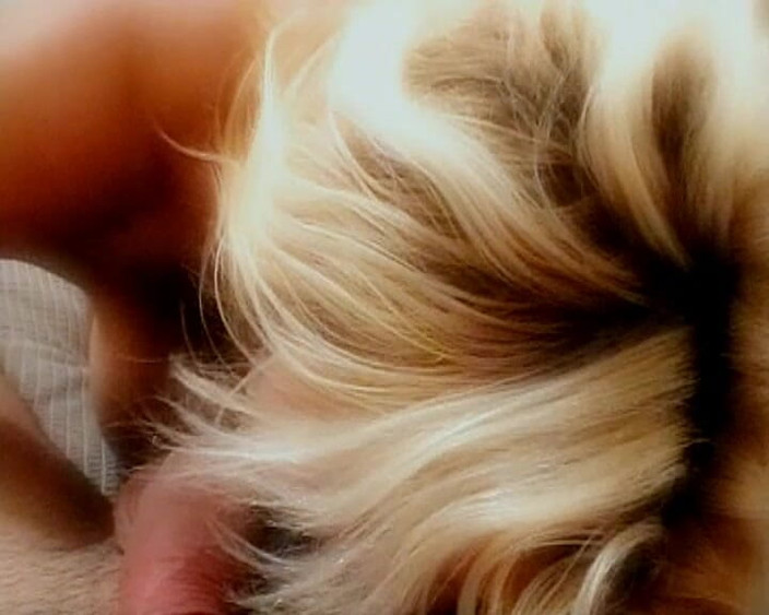 GERMAN PORN CLASSICS: ¿Quién es el Rammer 3?