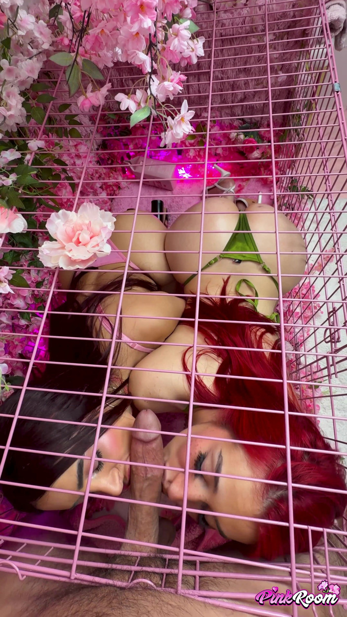 Nasty Sluts Studios: Chambre rose, épisode 33 : Zoey et Jessica, salopes latina excitées, adorent la...